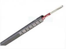 電伴熱集膚效應/管道集膚伴熱系統